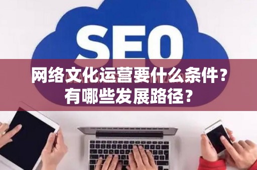 网络文化运营要什么条件？有哪些发展路径？